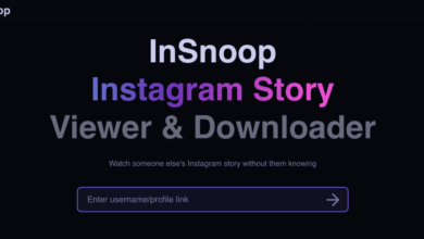 insnoop.com:-watch-your-friend’s-stories-discreetly-using-instagram-story-viewer