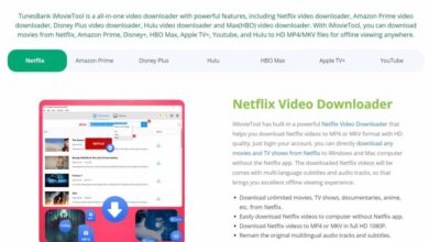 how-to-download-netflix,-disney-plus-videos-to-mp4-for-offline-watching