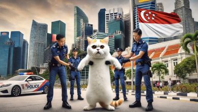 “'they-can't-arrest-us-all-in-singapore”-says-mutant-labs-core-team-member