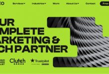 it-cost-optimization-companies-in-the-usa
