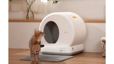 how-to-maintain-your-automatic-litter-box-effortlessly