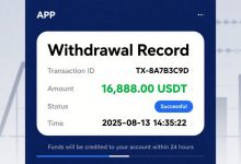 mystbox:-a-new-era-of-daily-crypto-earnings